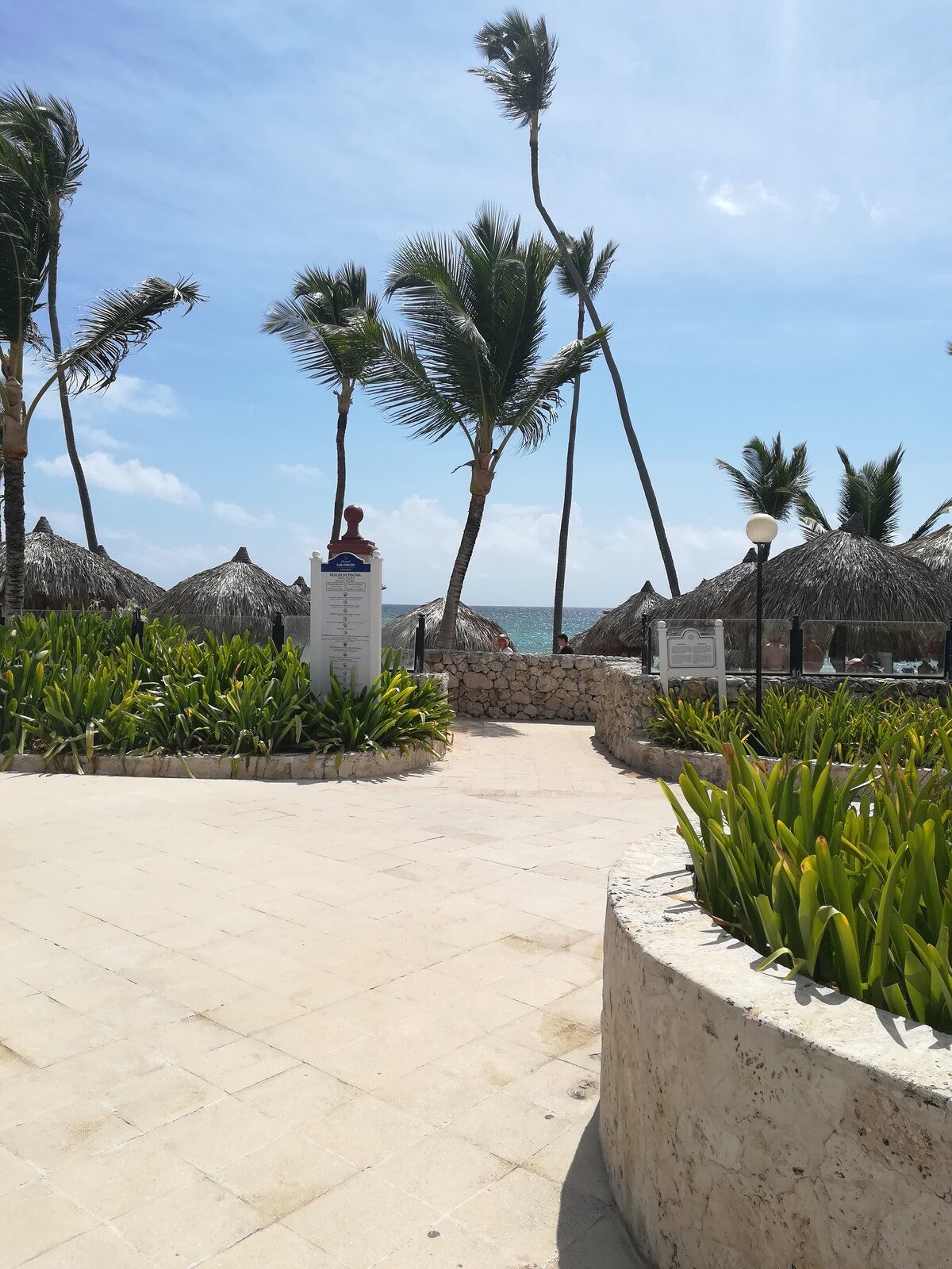 IMG_20190627_101542.jpg