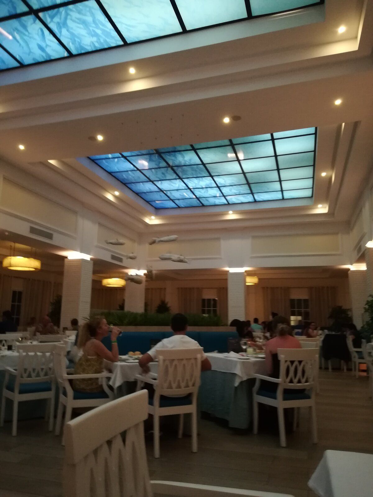 IMG_20190627_201908.jpg