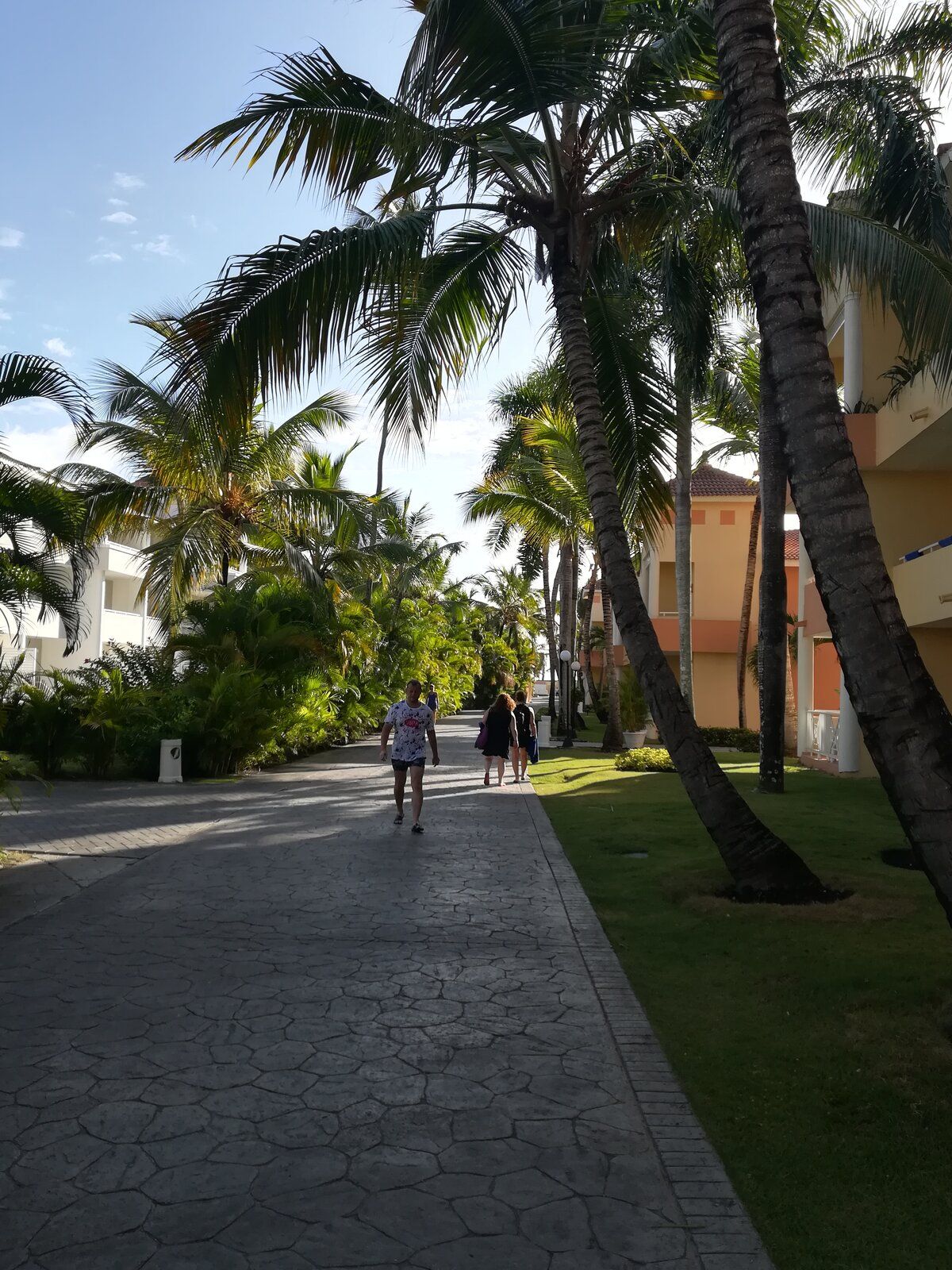 IMG_20190628_080826.jpg