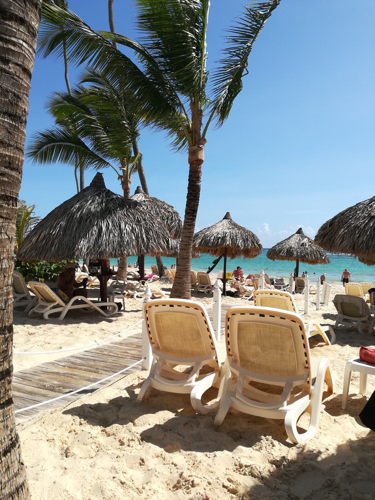 IMG_20190628_095240.jpg