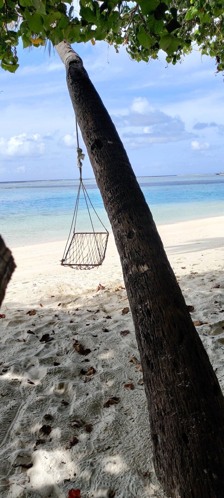 IMG_20210627_094651.jpg