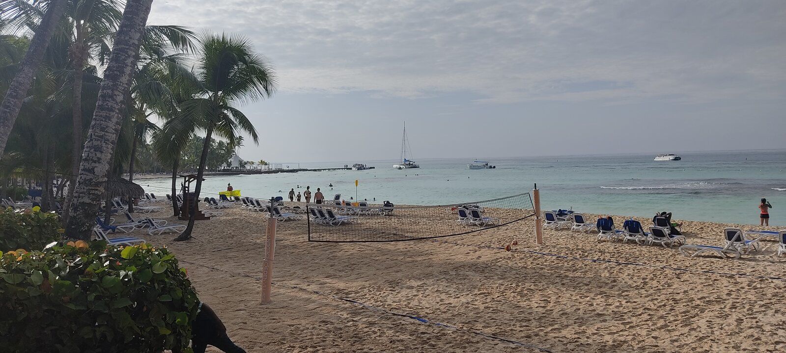 IMG_20211013_083113.jpg