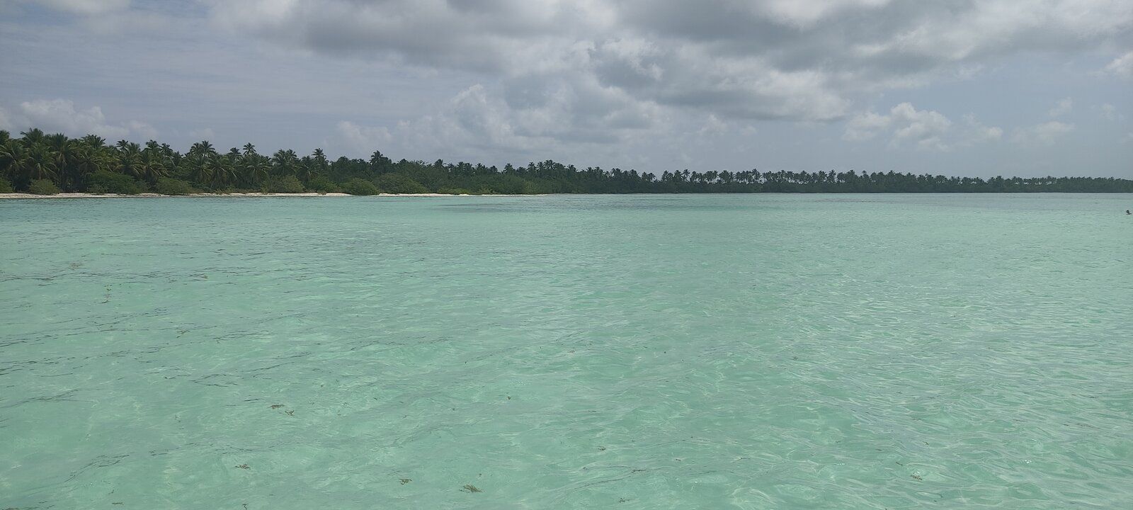 IMG_20211013_114516.jpg