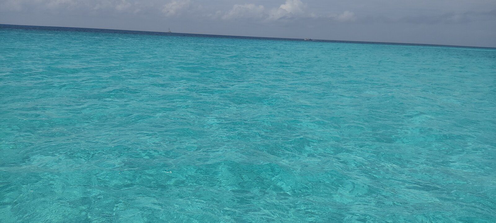 IMG_20211013_120046.jpg