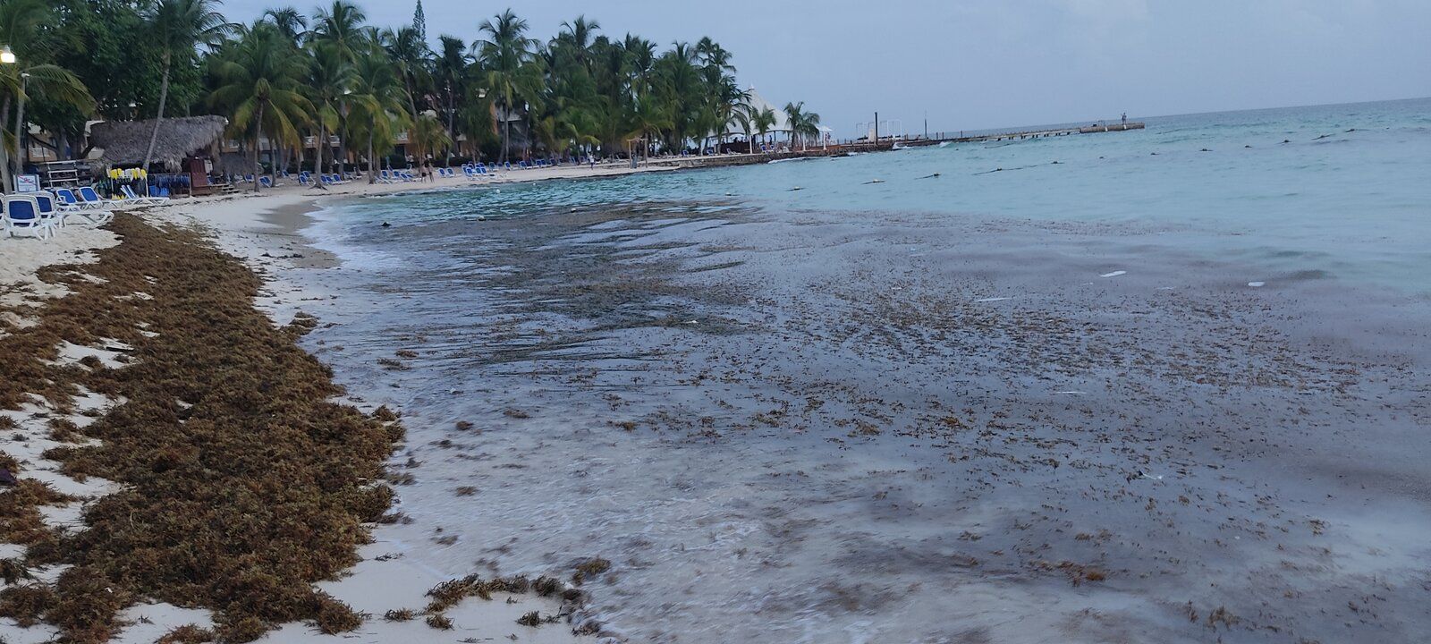 IMG_20211013_181305.jpg