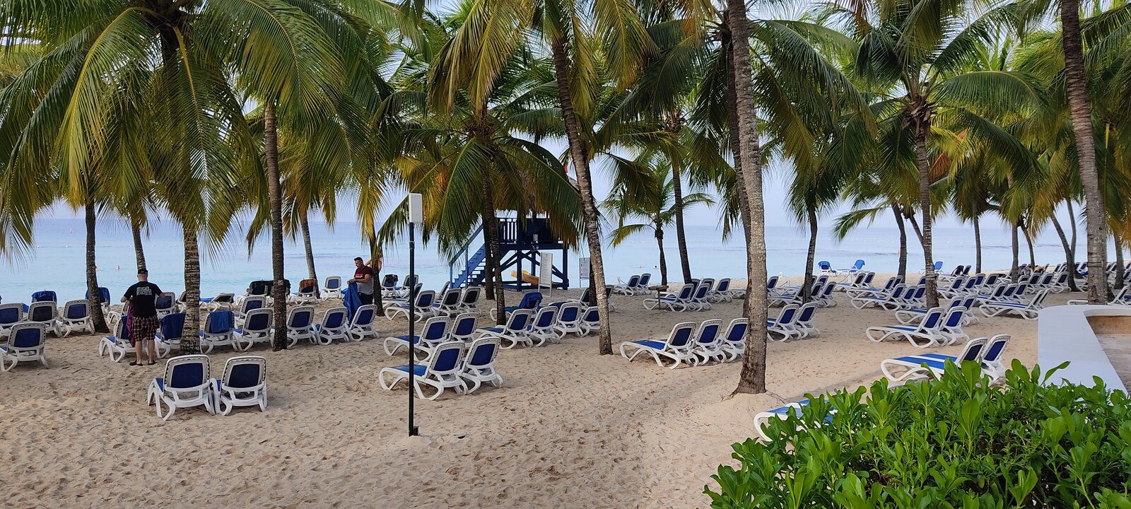 IMG_20211014_075415.jpg