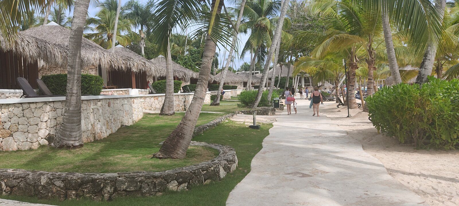 IMG_20211014_143445.jpg