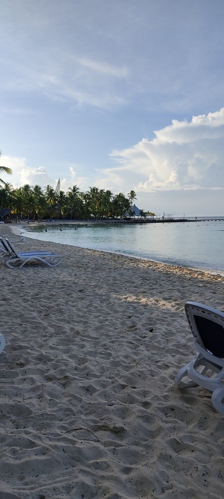 IMG_20211018_073912.jpg