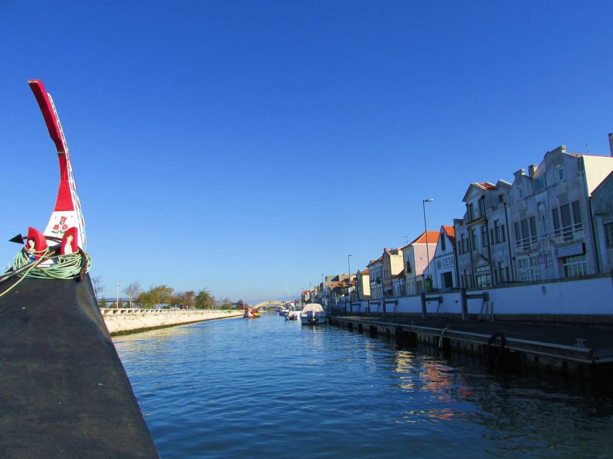 IMG_2026
