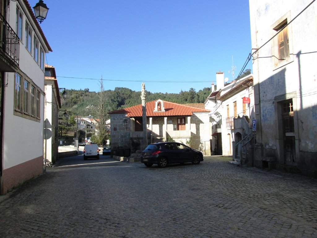 IMG_2136