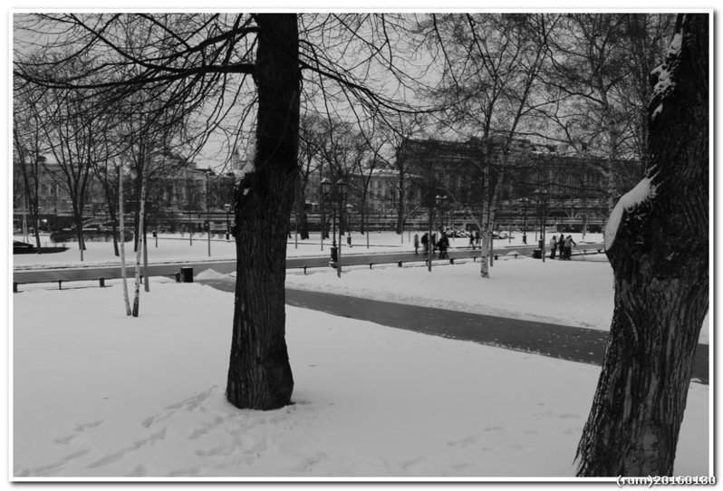IMG_2205
