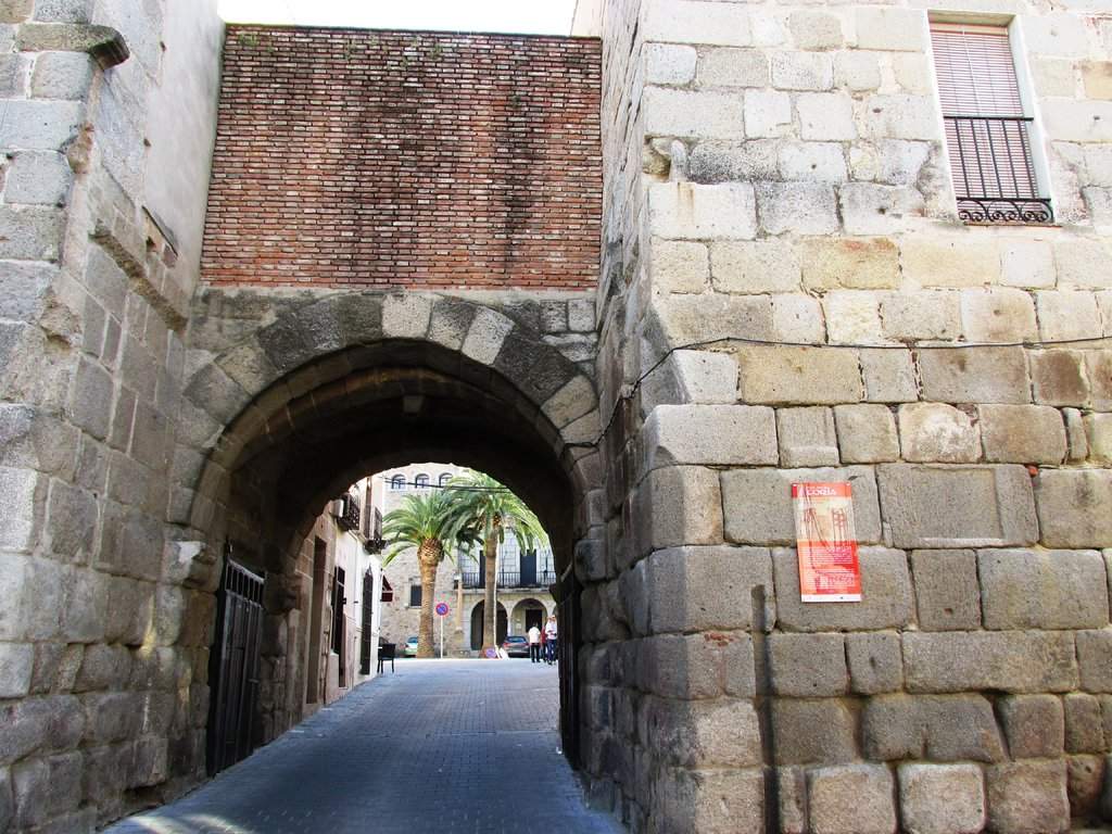 IMG_2338