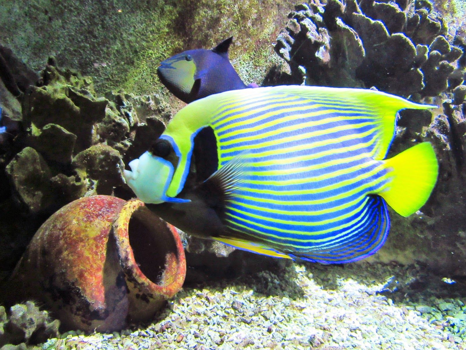IMG_2489.JPG
