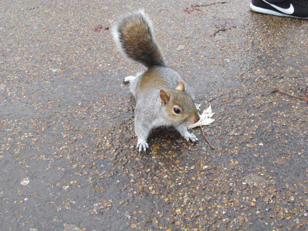 IMG_2606