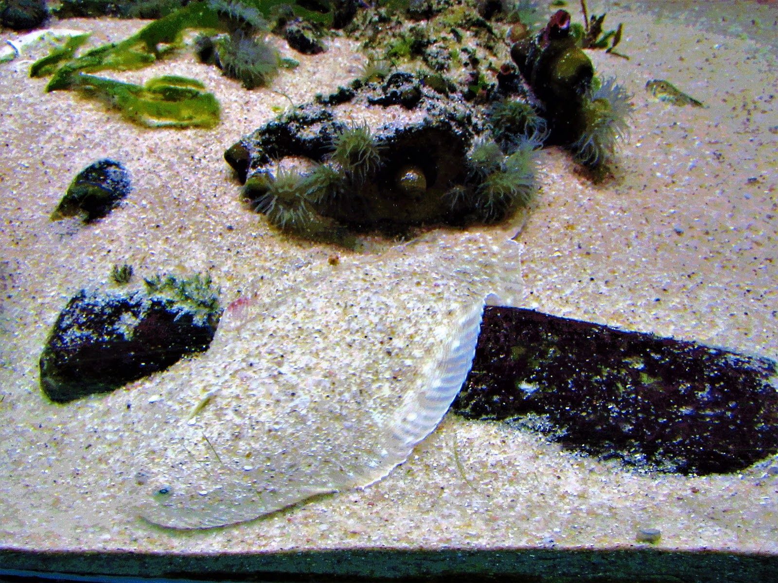IMG_2640.JPG