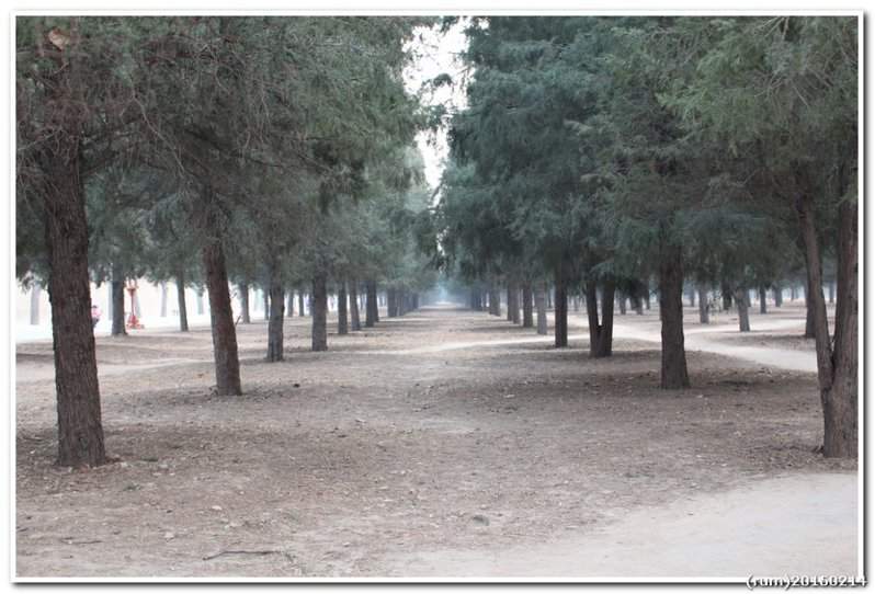 IMG_3370