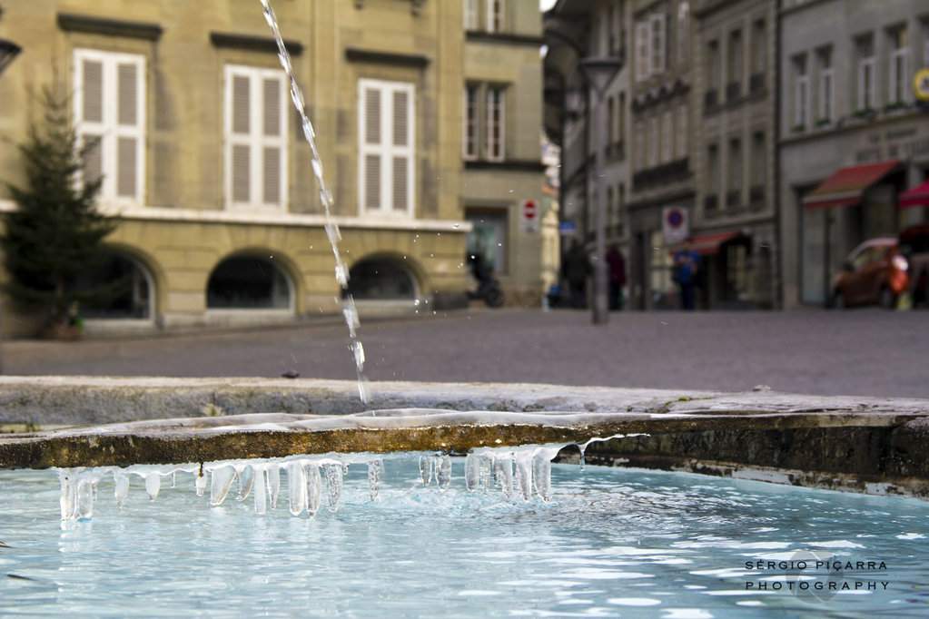 IMG_3450