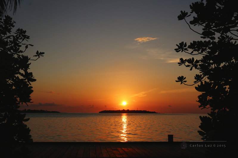 IMG_3706_signed