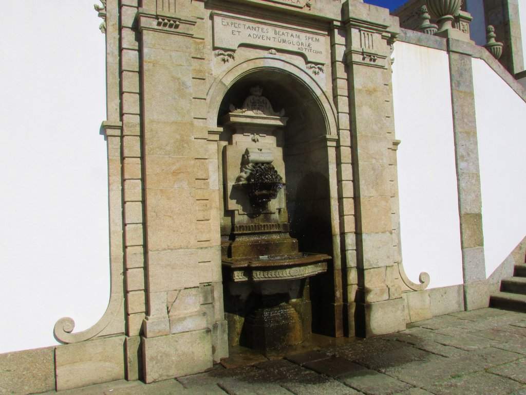 IMG_4270