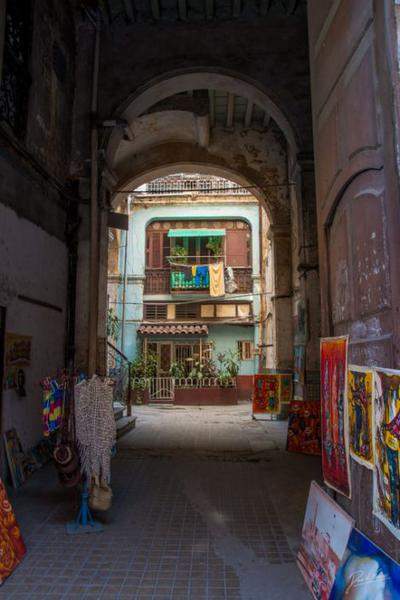 IMG_5010 (Cópia).jpg