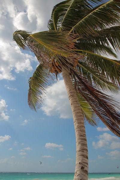 IMG_6241 (Copy).jpg