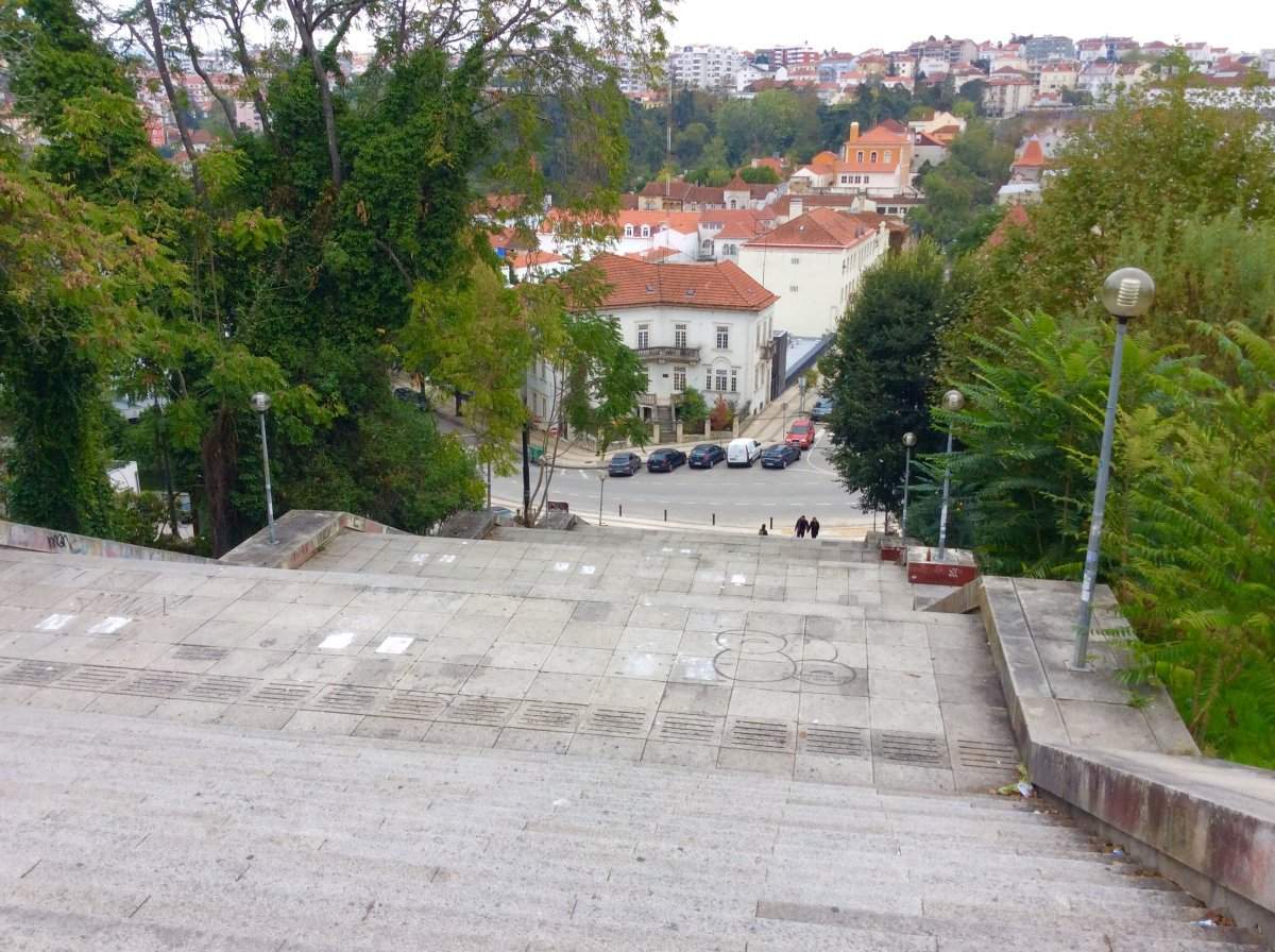 IMG_7006