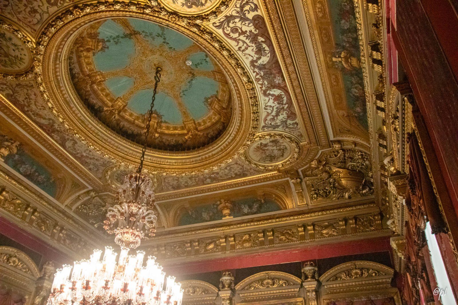 IMG_8874032325.jpg