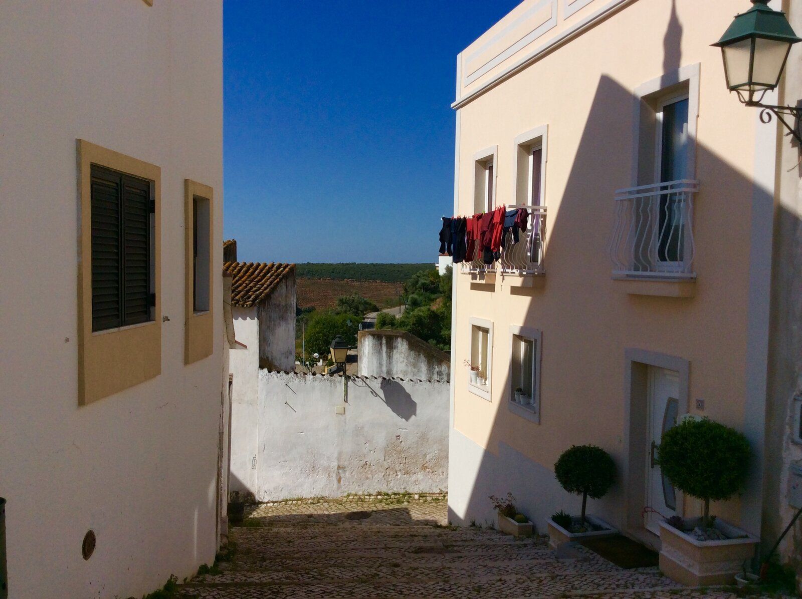 IMG_9203.jpg