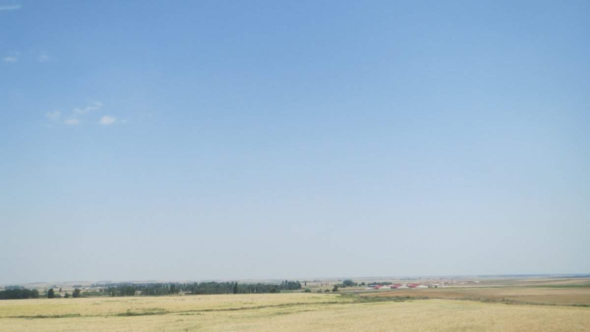 IMG_9597