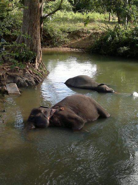 India 138