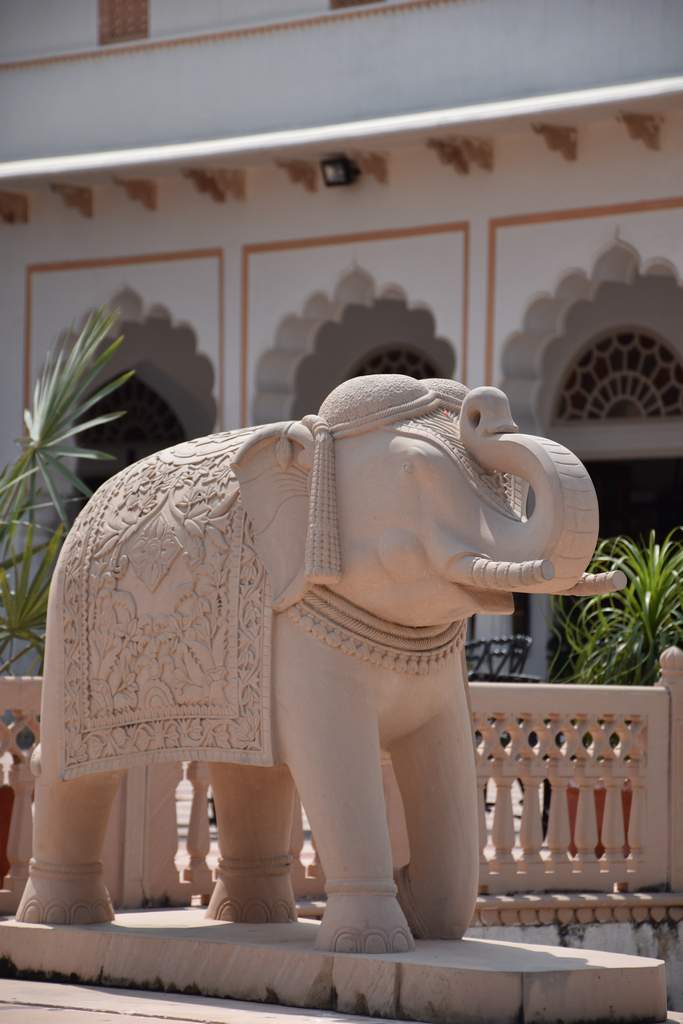 India 2016 (135)