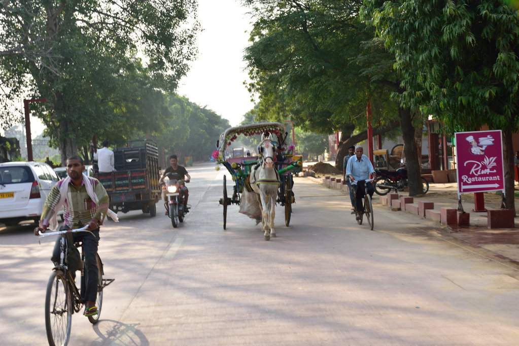 India 2016 (157)