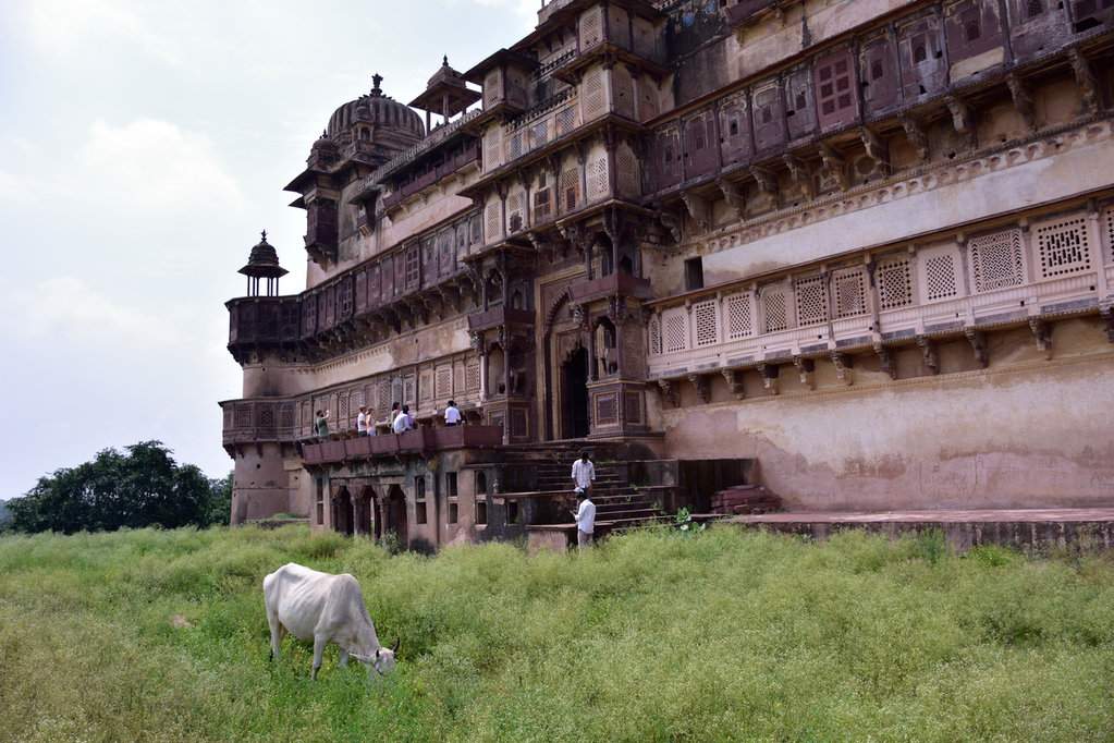 India 2016 (204)