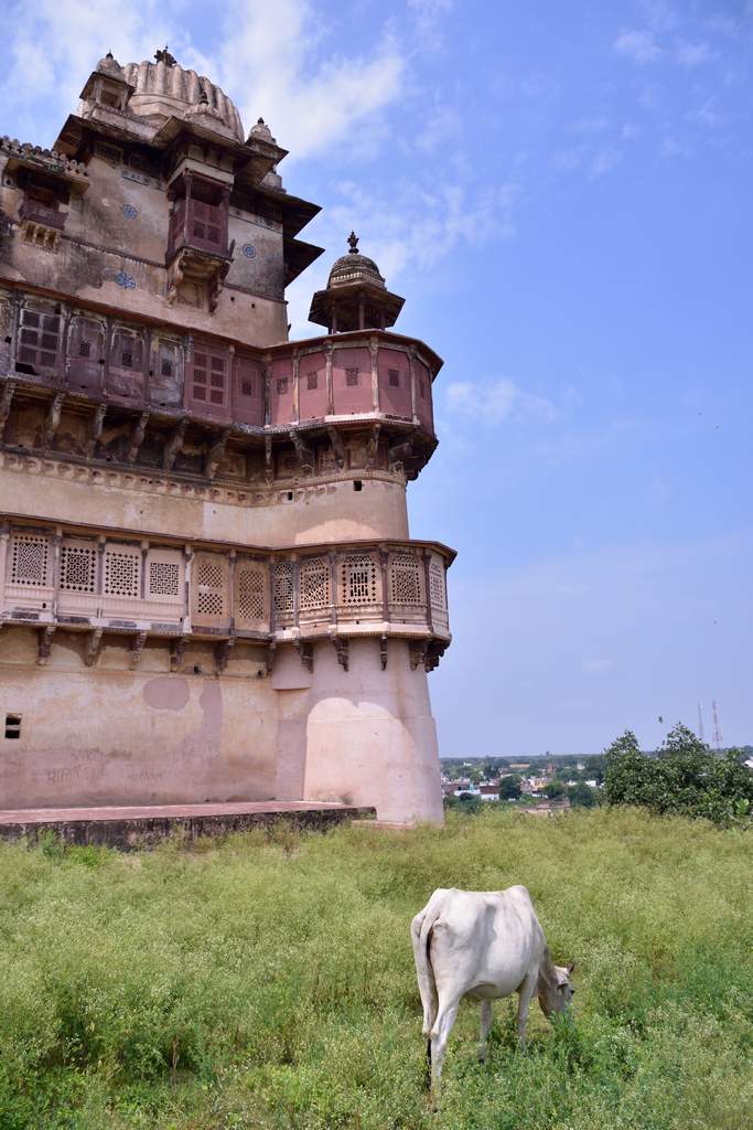 India 2016 (205)