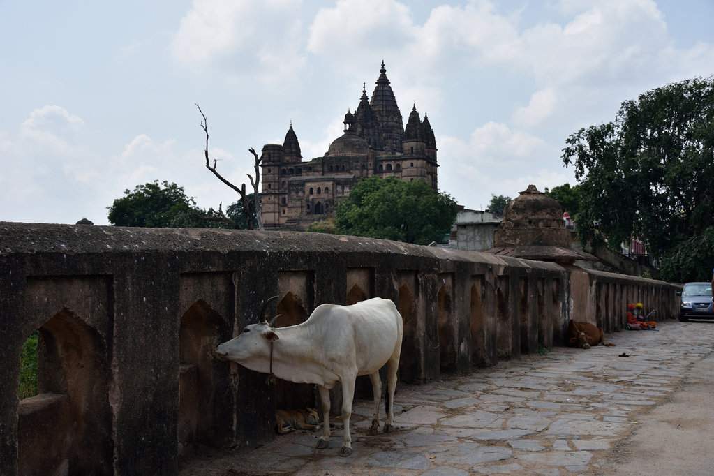 India 2016 (216)