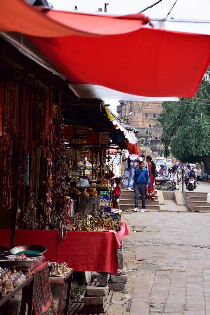India 2016 (219)