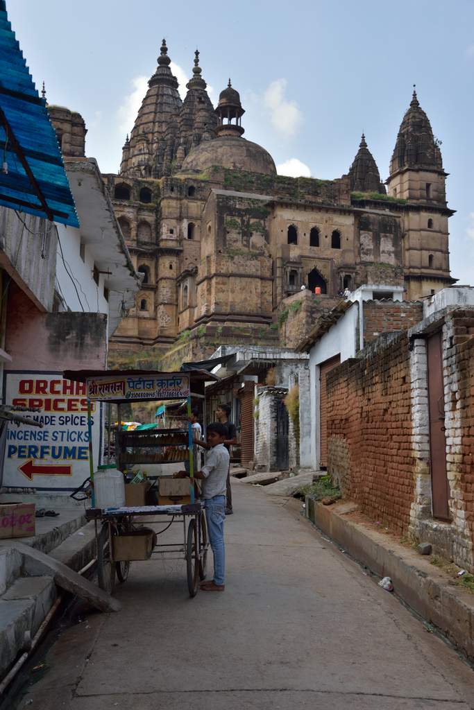 India 2016 (223)