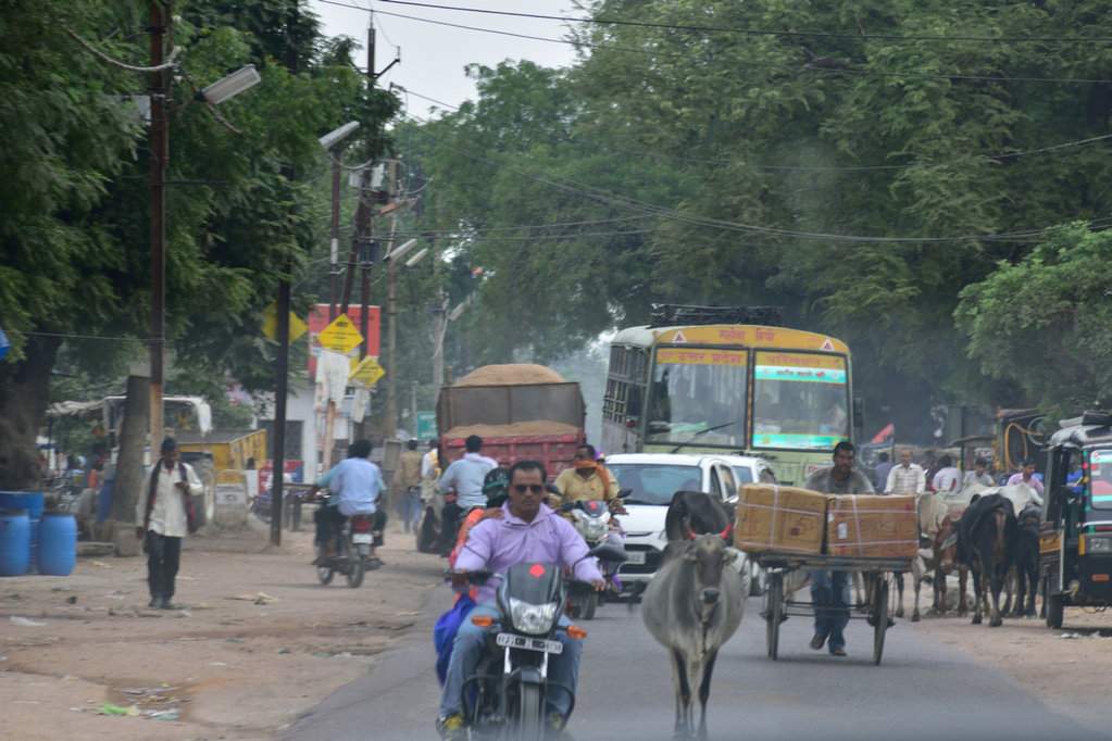 India 2016 (227)