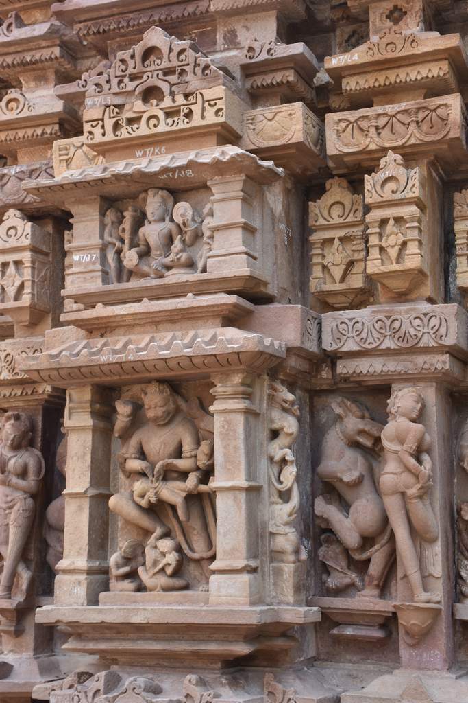 India 2016 (239)