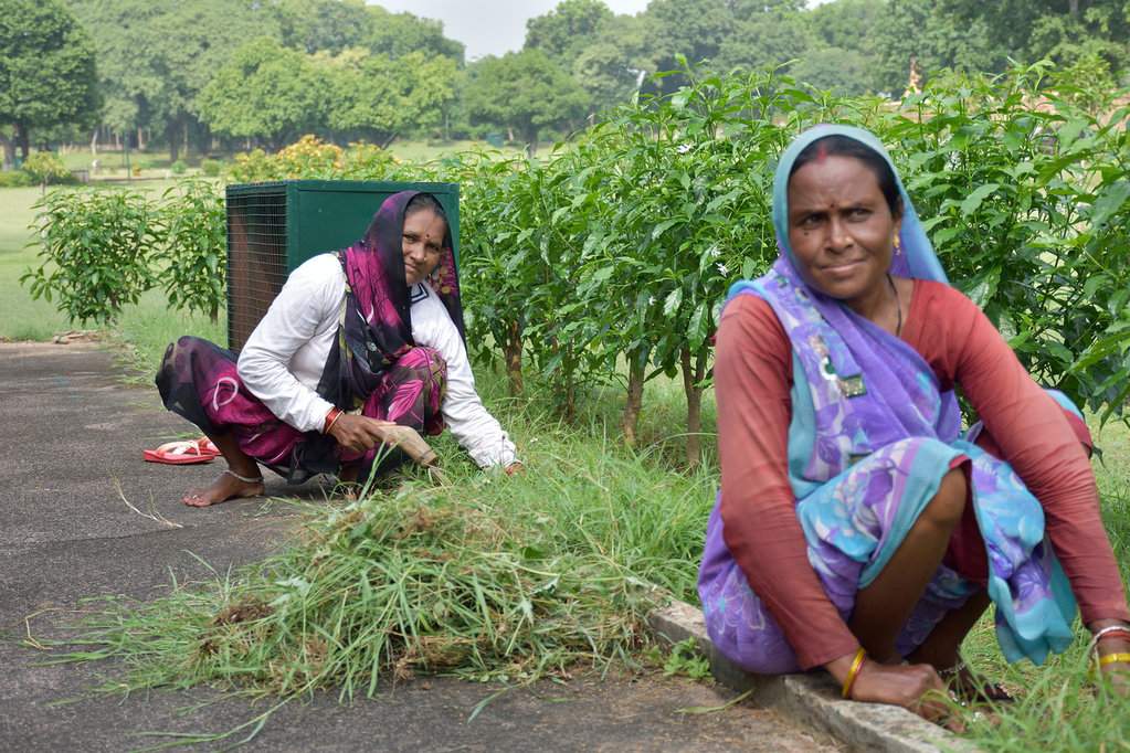 India 2016 (257)