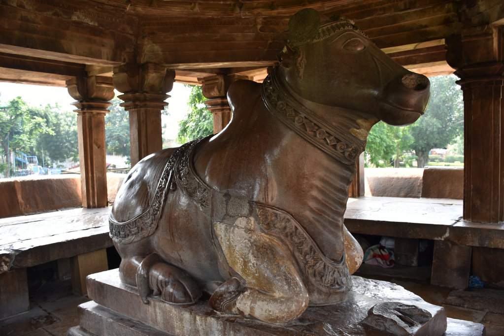 India 2016 (260)