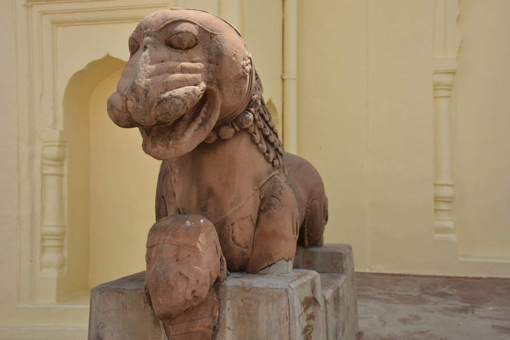 India 2016 (263)