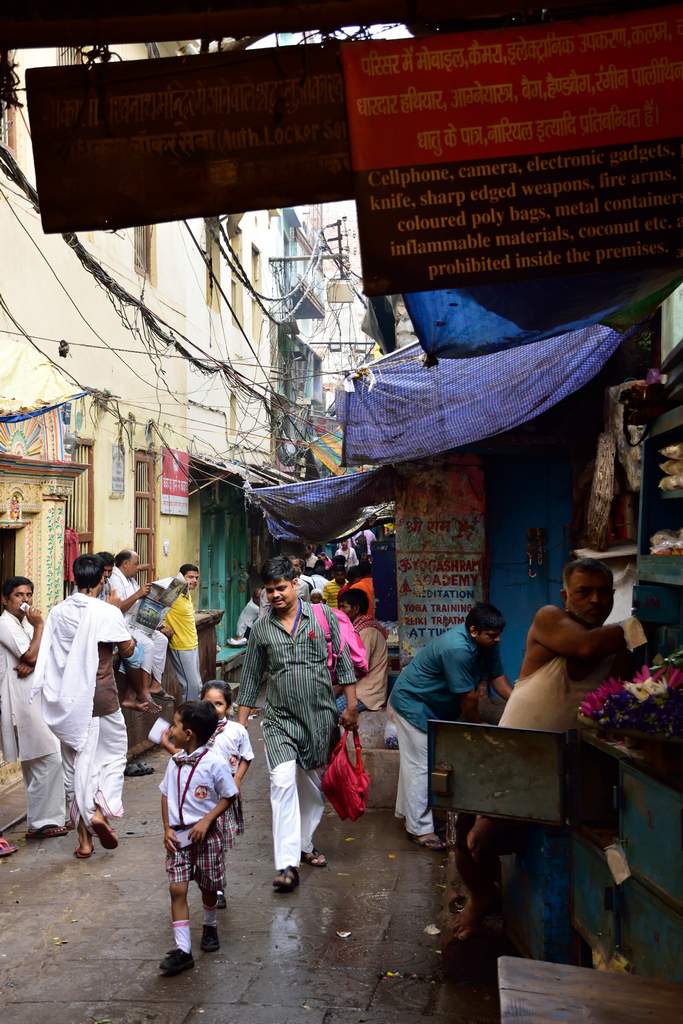 India 2016 (325)