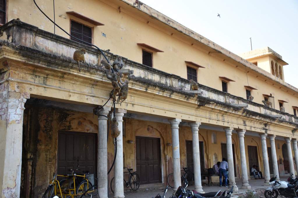 India_2016 (116)