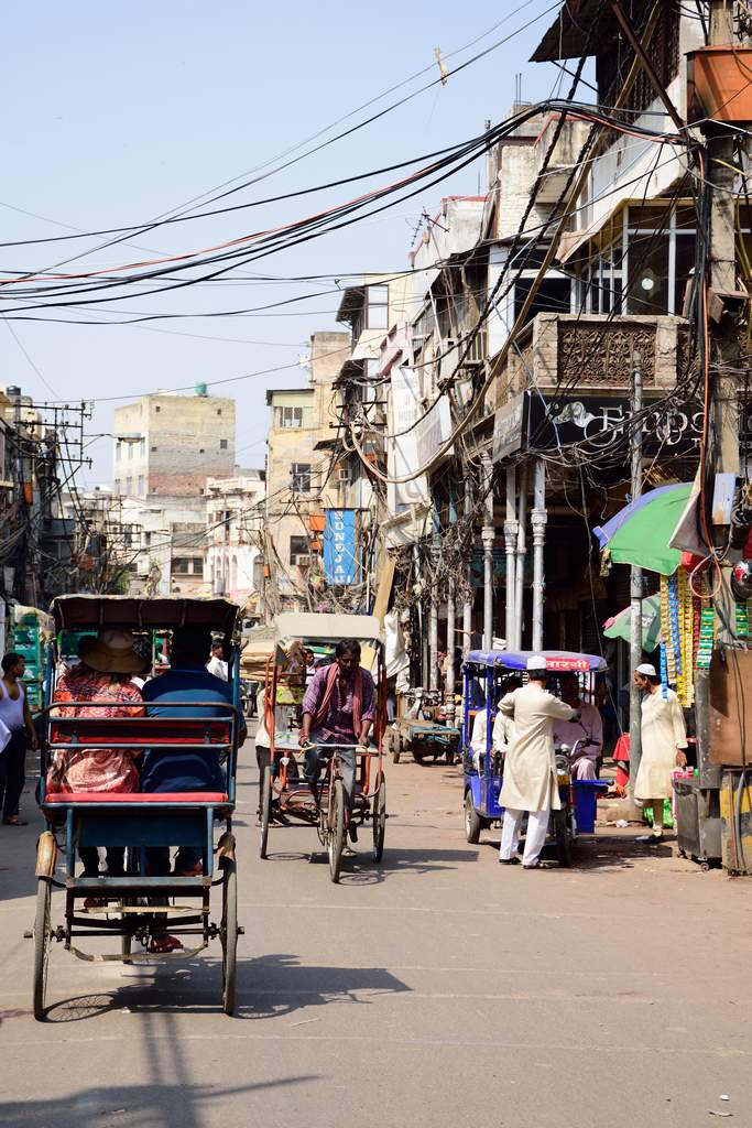 India_2016 (19)
