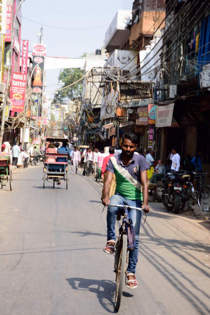 India_2016 (21)