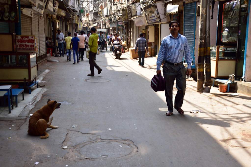 India_2016 (23)