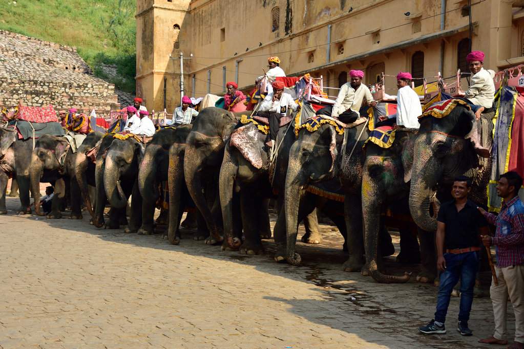India_2016 (70)