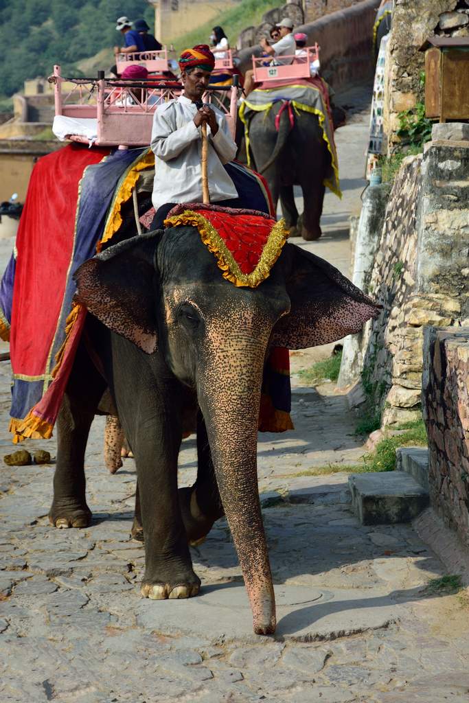 India_2016 (72)