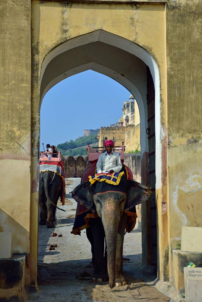 India_2016 (73)